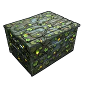 Skin's image