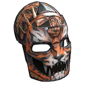 Skin's image