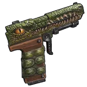 Skin's image