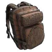 Skin's image