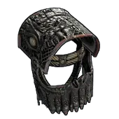 Skin's image