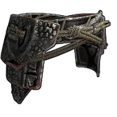 Skin's image