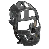 Skin's image