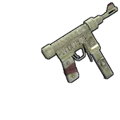 Skin's image