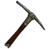 Skin's image