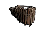 Skin's image