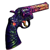 Skin's image