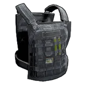 Skin's image