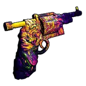 Skin's image