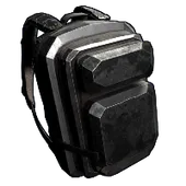Skin's image