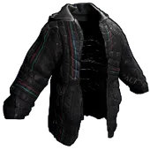 Skin's image