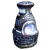 Skin's image