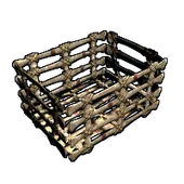 Skin's image