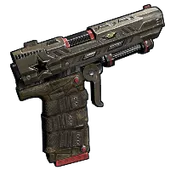 Skin's image