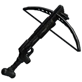Skin's image