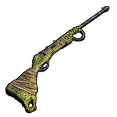 Skin's image