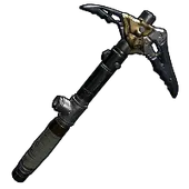 Skin's image