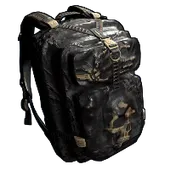 Skin's image