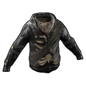Skin's image
