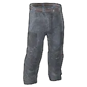 Skin's image