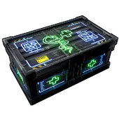 Skin's image