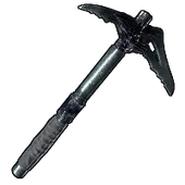 Skin's image
