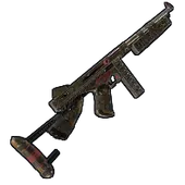 Skin's image