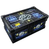 Skin's image