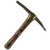 Skin's image