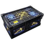 Skin's image