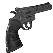 Skin's image