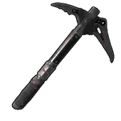 Skin's image