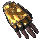 Skin's image
