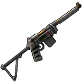 Skin's image
