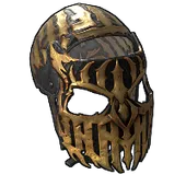 Skin's image