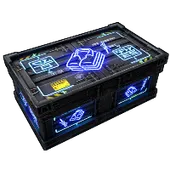 Skin's image