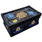 Skin's image