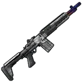 Skin's image