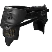 Skin's image