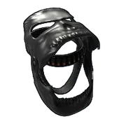 Skin's image