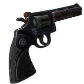 Skin's image