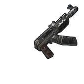 Skin's image