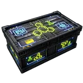 Skin's image
