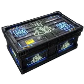 Skin's image