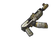 Skin's image