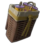 Skin's image