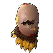 Skin's image
