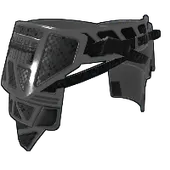 Skin's image