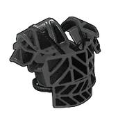 Skin's image