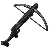 Skin's image